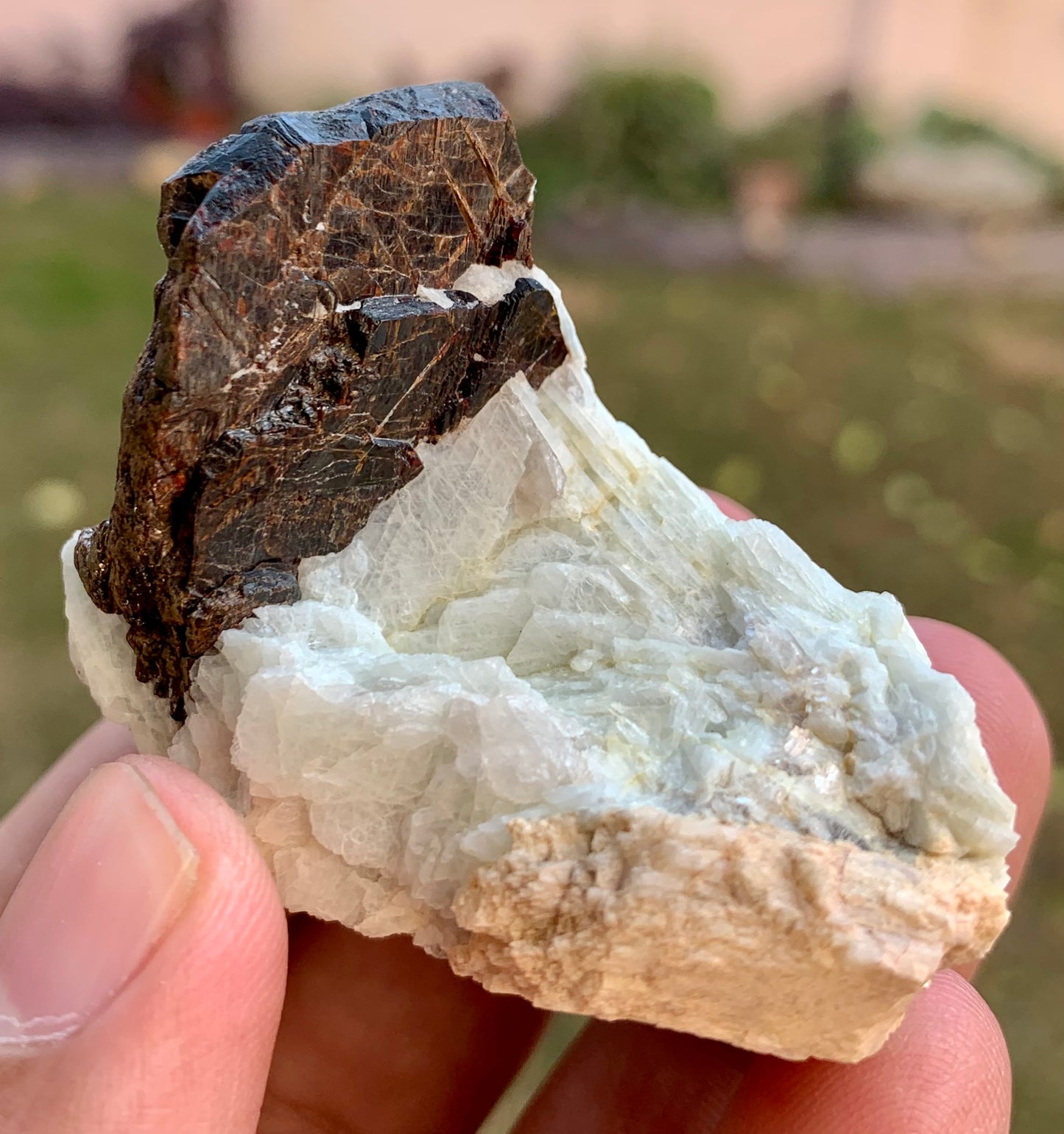 Columbite