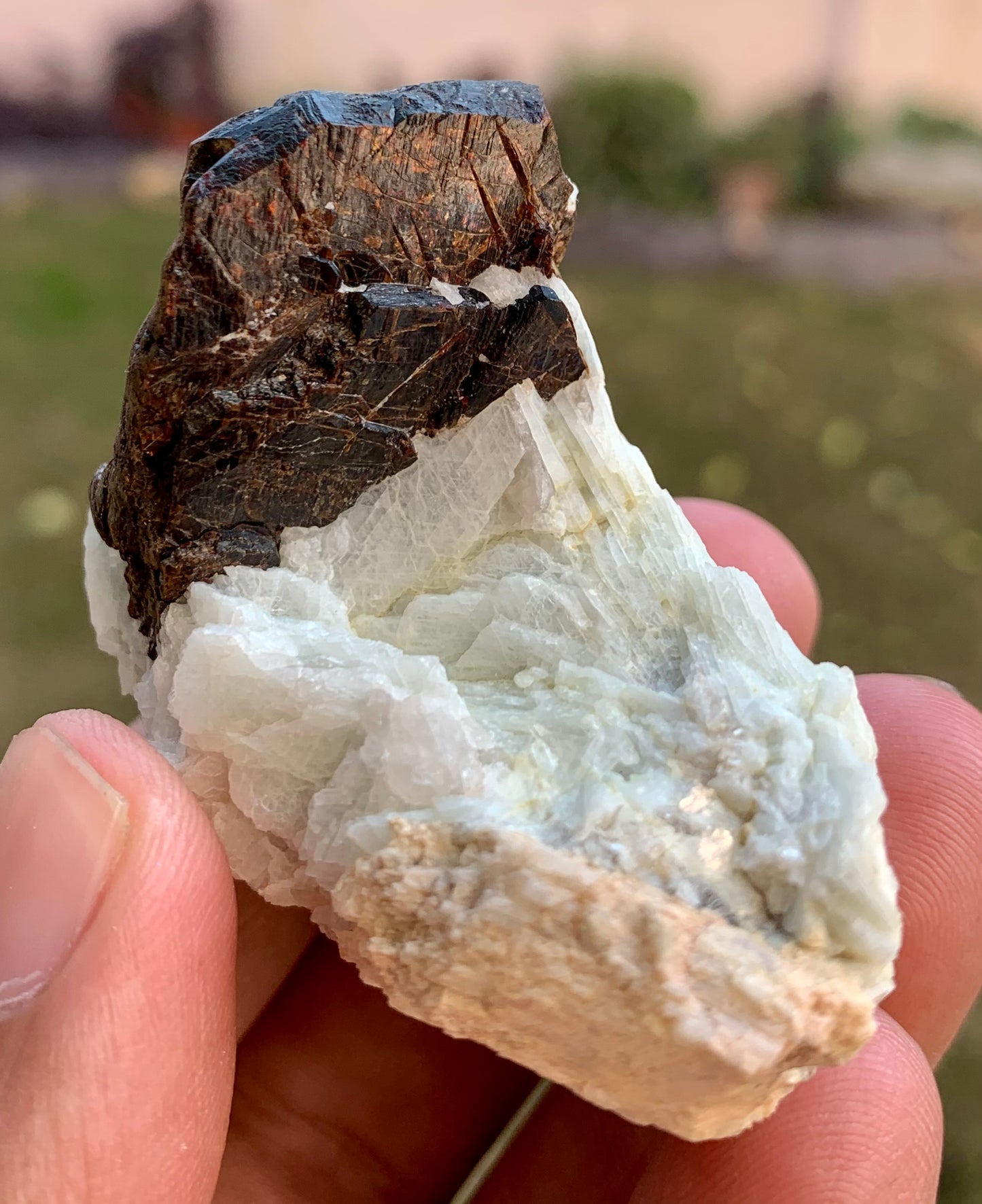 Columbite