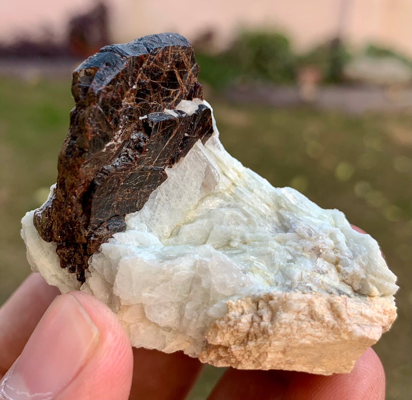 Columbite