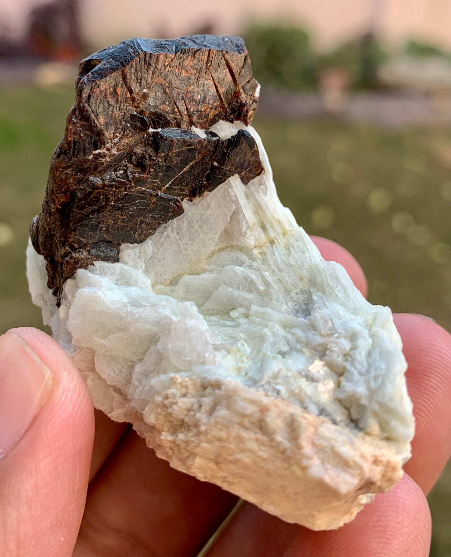Columbite