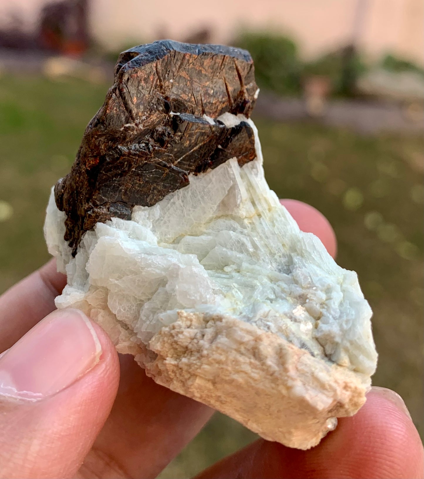 Columbite